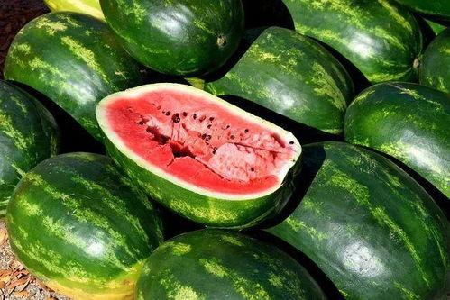 怎么找到吃瓜视频素材,轻松获取热门吃瓜视频素材的独家秘籍