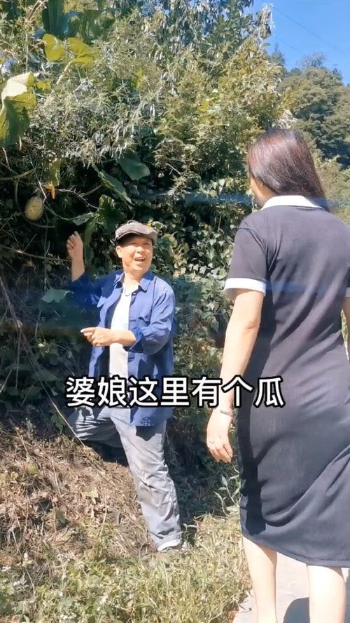 吃瓜不忘种瓜搞笑视频,种瓜乐趣多！搞笑视频带你领略田园风情