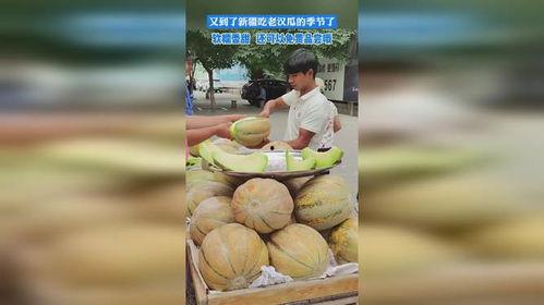 吃老汉瓜的视频,一场别开生面的乡村美食盛宴