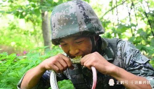 韩国特种兵吃瓜视频,揭秘军营生活趣闻