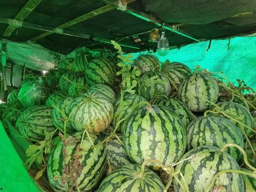 韩城市吃瓜 视频,街头巷尾热闹非凡