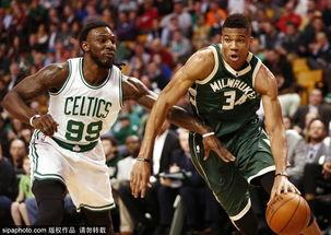 字母哥吃小瓜视频大全,趣味视频大盘点