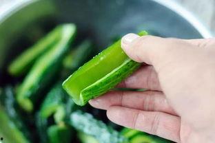 绿荫瓜要削皮吗怎么吃视频,绿荫瓜削皮技巧与美味食用方法